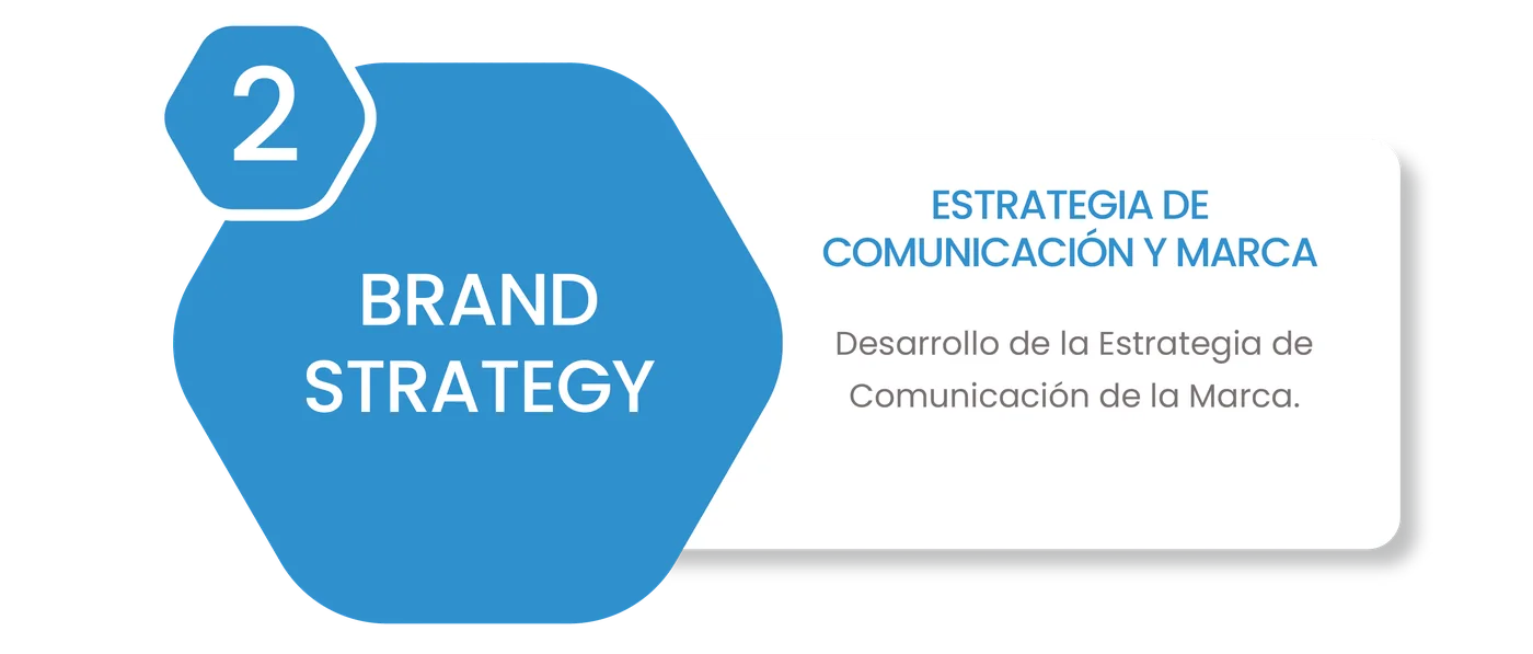 Brand Strategy